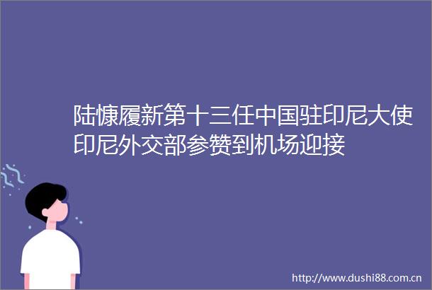陆慷履新第十三任驻印尼大使印尼外交部参赞到机场迎接