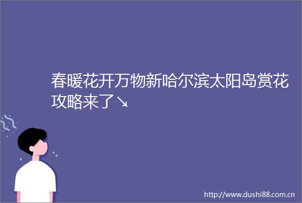春暖花开万物新哈尔滨太阳岛赏花攻略来了↘