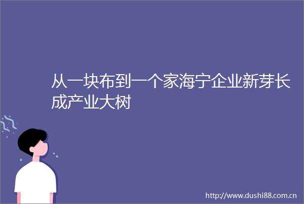 从一块布到一个家海宁企业新芽长成产业大树
