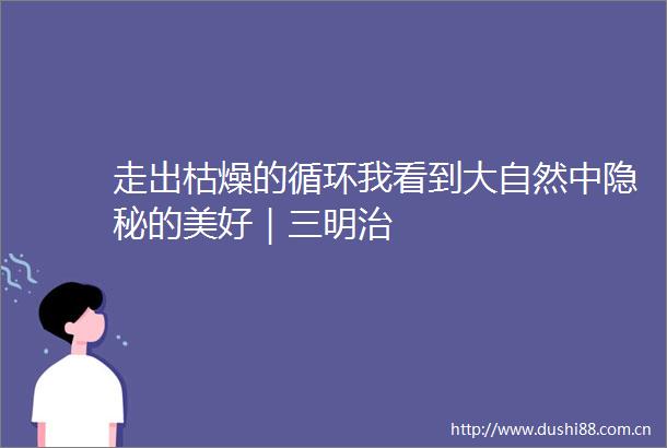 走出枯燥的循环我看到大自然中隐秘的美好｜三明治