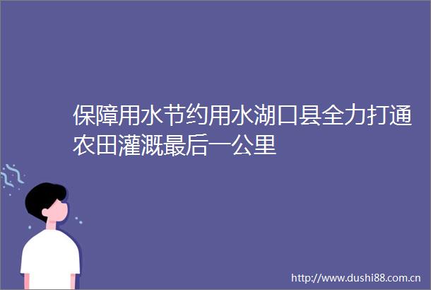 保障用水节约用水湖口县全力打通农田灌溉最后一公里