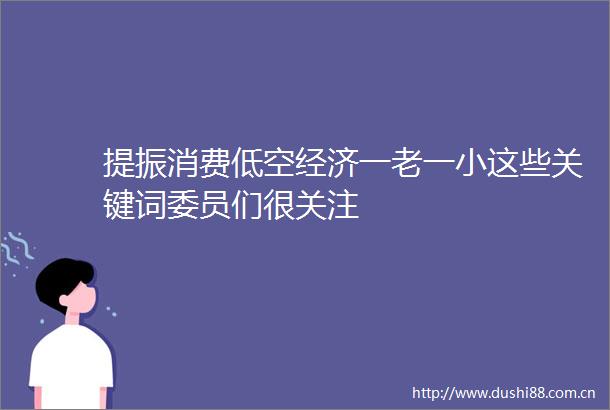 提振消费低空经济一老一小这些关键词委员们很关注