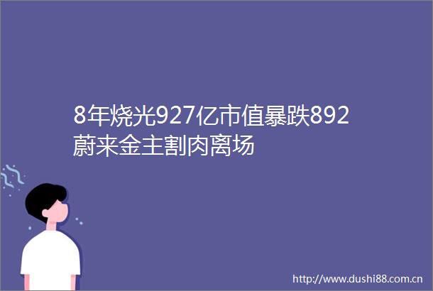 8年烧光927亿市值暴跌892蔚来金主割肉离场