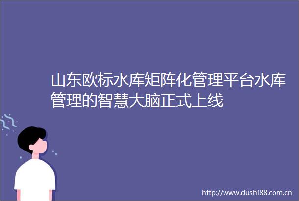 山东欧标水库矩阵化管理平台水库管理的智慧大脑正式上线