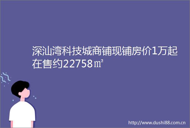 深汕湾科技城商铺现铺房价1万起在售约22758㎡