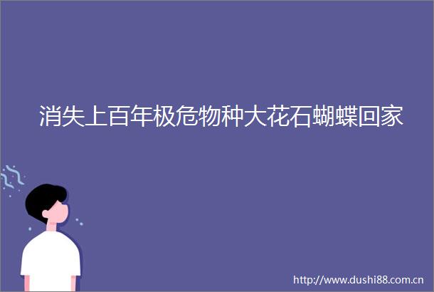 消失上百年极危物种大花石蝴蝶回家