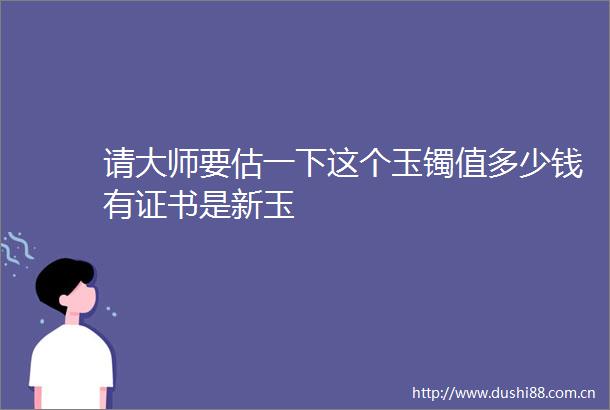 请大师要估一下这个玉镯值多少钱有证书是新玉