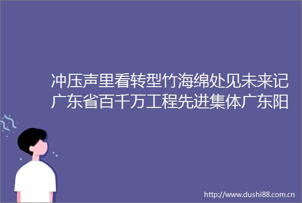冲压声里看转型竹海绵处见未来记广东省百千万工程先进集体广东阳光科密电子科技有限公司