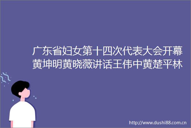 广东省妇女第十四次代表大会开幕黄坤明黄晓薇讲话王伟中黄楚平林克庆出席孟凡利主持