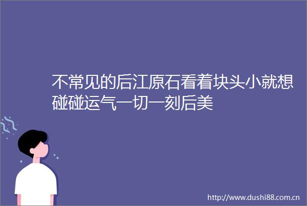 不常见的后江原石看着块头小就想碰碰运气一切一刻后美