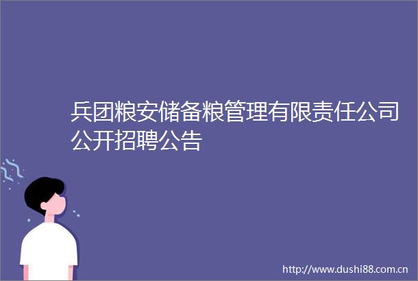 兵团粮安储备粮管理有限责任公司公开招聘公告