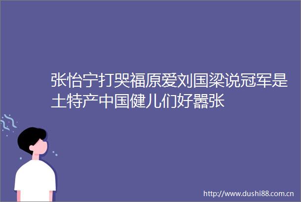 张怡宁打哭福原爱刘国梁说冠军是土特产健儿们好嚣张