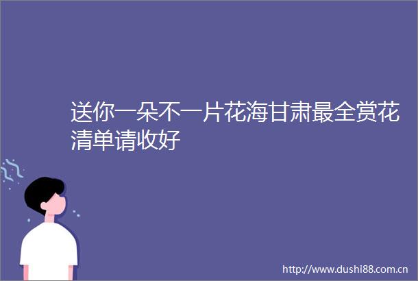 送你一朵不一片花海甘肃最全赏花清单请收好