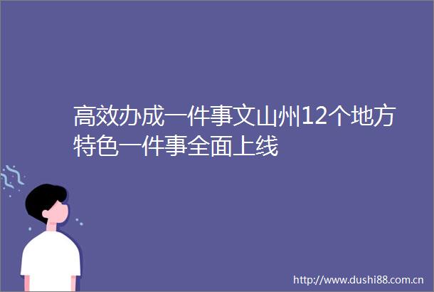 高效办成一件事文山州12个地方特色一件事全面上线