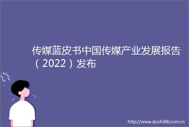传媒蓝皮书传媒产业发展报告（2022）发布