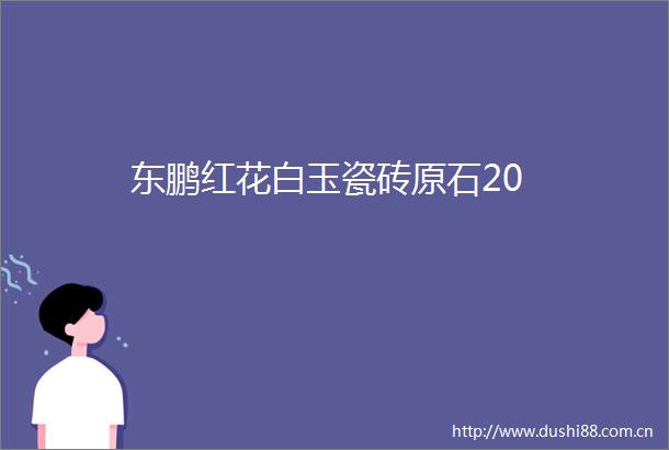 东鹏红花白玉瓷砖原石20