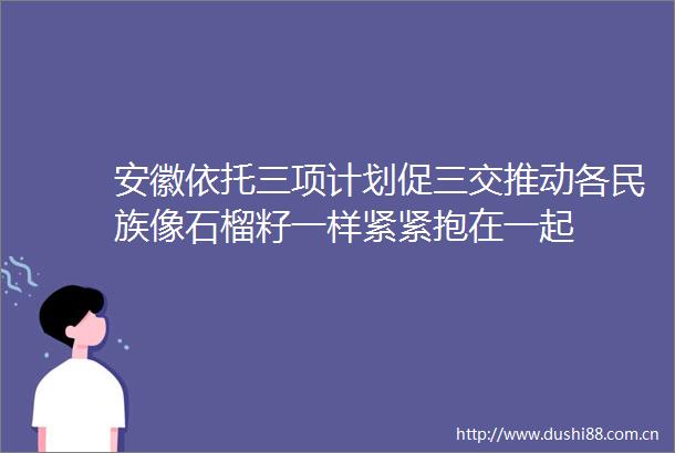 安徽依托三项计划促三交推动各民族像石榴籽一样紧紧抱在一起