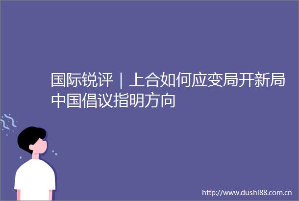 国际锐评｜上合如何应变局开新局倡议指明方向