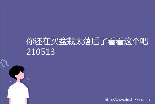 你还在买盆栽太落后了看看这个吧210513