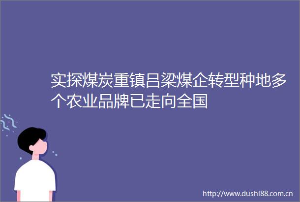 实探煤炭重镇吕梁煤企转型种地多个农业品牌已走向全国