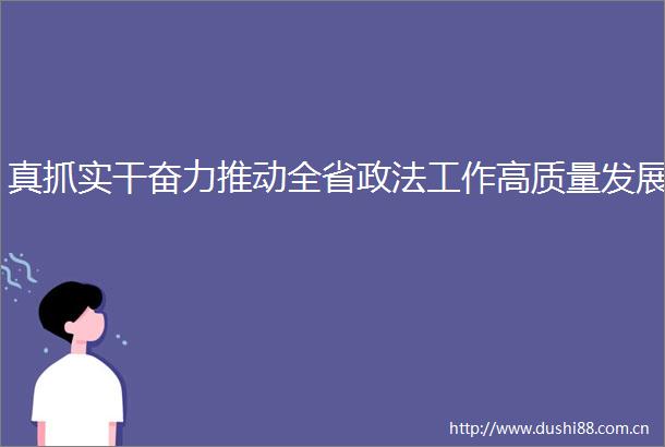 真抓实干奋力推动全省政法工作高质量发展