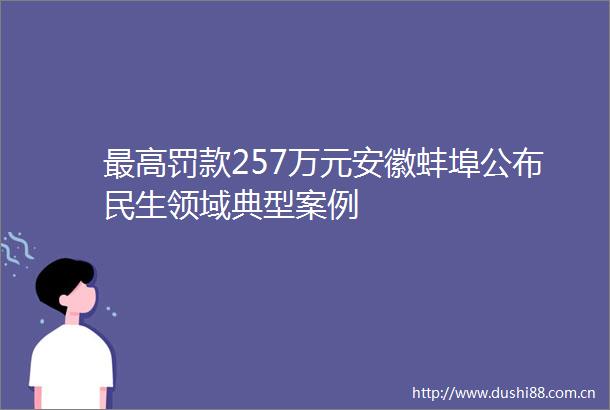 最高罚款257万元安徽蚌埠公布民生领域典型案例