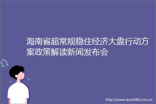 海南省超常规稳住经济大盘行动方案政策解读新闻发布会