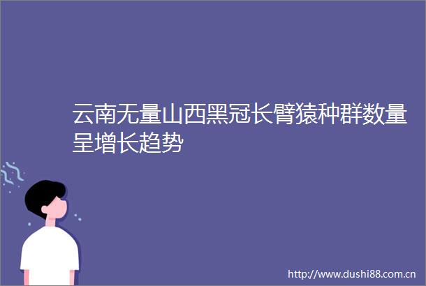 云南无量山西黑冠长臂猿种群数量呈增长趋势