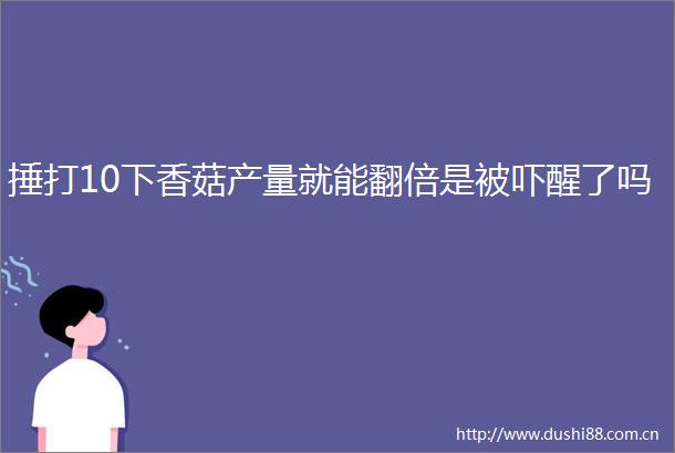 捶打10下香菇产量就能翻倍是被吓醒了吗