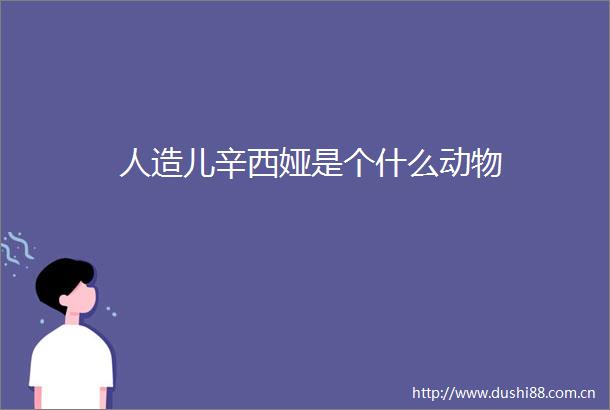 人造儿辛西娅是个什么动物