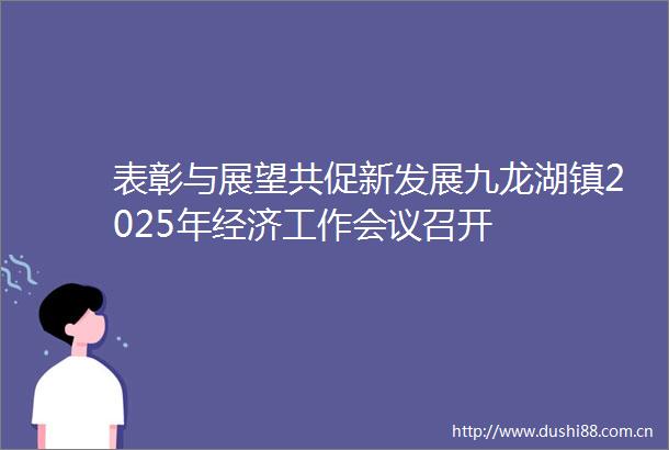 表彰与展望共促新发展九龙湖镇2025年经济工作会议召开