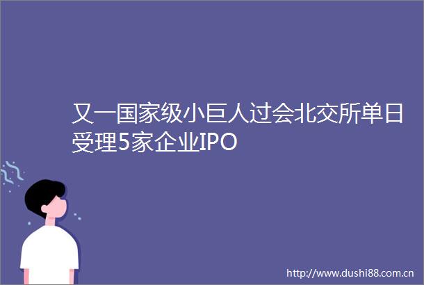 又一级小巨人过会北交所单日受理5家企业IPO