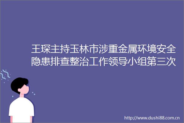 王琛主持玉林市涉重金属环境安全隐患排查整治工作小组第三次会议并讲话