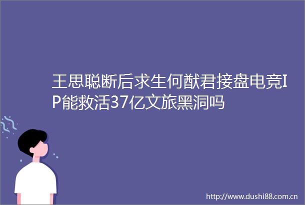 王思聪断后求生何猷君接盘电竞IP能救活37亿文旅黑洞吗