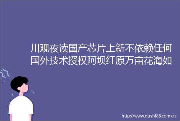 川观夜读国产芯片上新不依赖任何国外技术授权阿坝红原万亩花海如同梦幻仙境墨西哥中部发生击致10人死亡