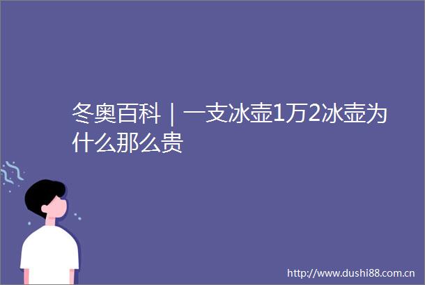 冬奥百科｜一支冰壶1万2冰壶为什么那么贵