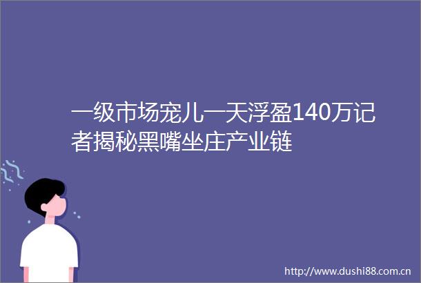 一级市场宠儿一天浮盈140万记者揭秘黑嘴坐庄产业链