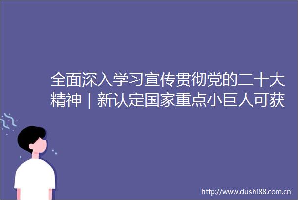全面深入学习宣传贯彻党的二十大精神｜新认定重点小巨人可获百万财政奖励