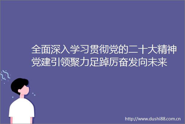 全面深入学习贯彻党的二十大精神党建引领聚力足踔厉奋发向未来