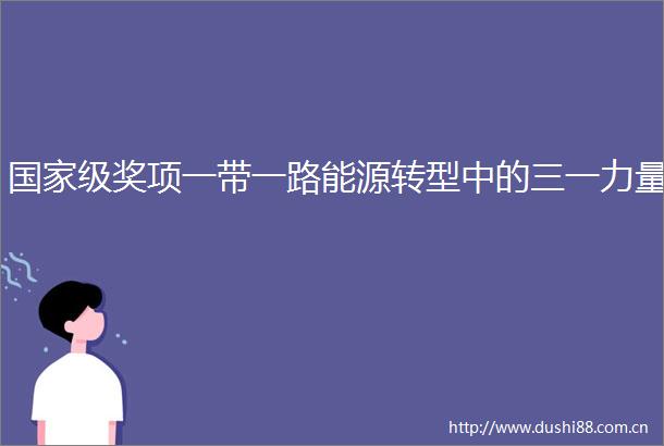 级奖项一带一路能源转型中的三一力量