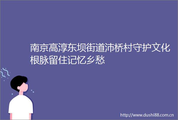 南京高淳东坝街道沛桥村守护文化根脉留住记忆乡愁