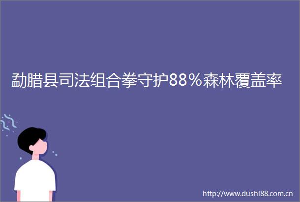 勐腊县司法组合拳守护88％森林覆盖率