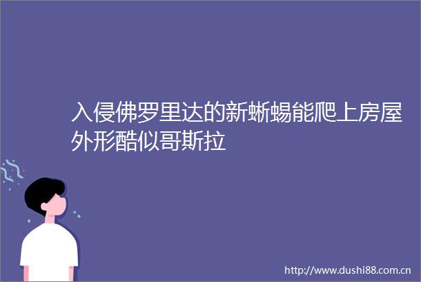 入侵佛罗里达的新蜥蜴能爬上房屋外形酷似哥斯拉