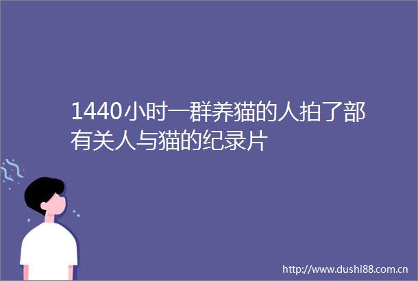 1440小时一群养猫的人拍了部有关人与猫的纪录片