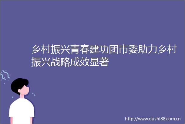 乡村振兴青春建功团市委助力乡村振兴战略成效显著