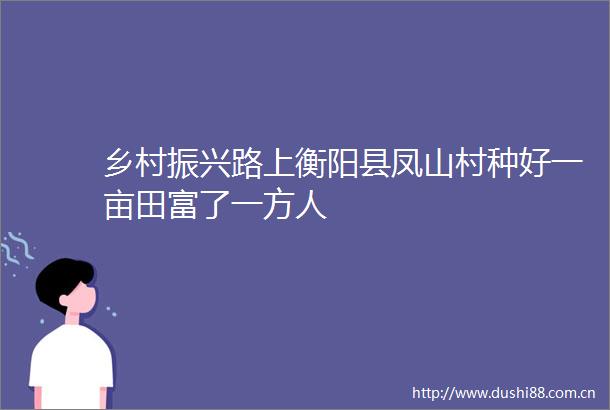 乡村振兴路上衡阳县凤山村种好一亩田富了一方人
