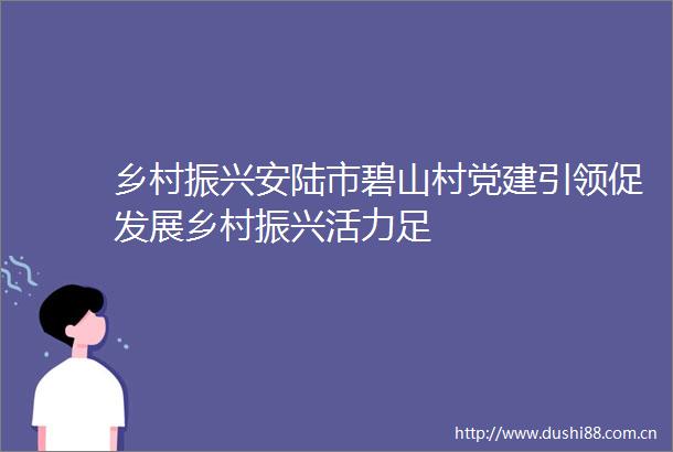 乡村振兴安陆市碧山村党建引领促发展乡村振兴活力足