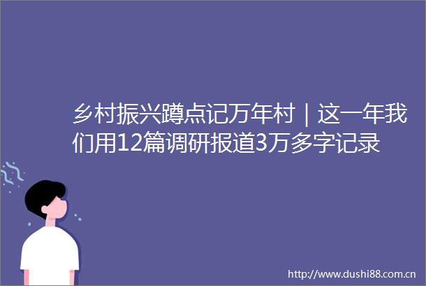 乡村振兴蹲点记万年村｜这一年我们用12篇调研报道3万多字记录下这座村庄的振兴密码