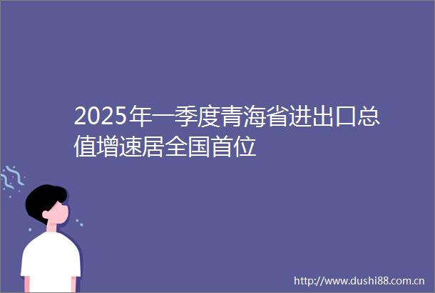 2025年一季度青海省进出口总值增速居全国首位