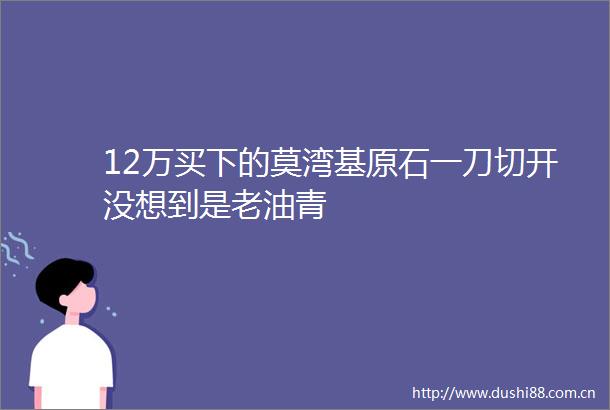 12万买下的莫湾基原石一刀切开没想到是老油青